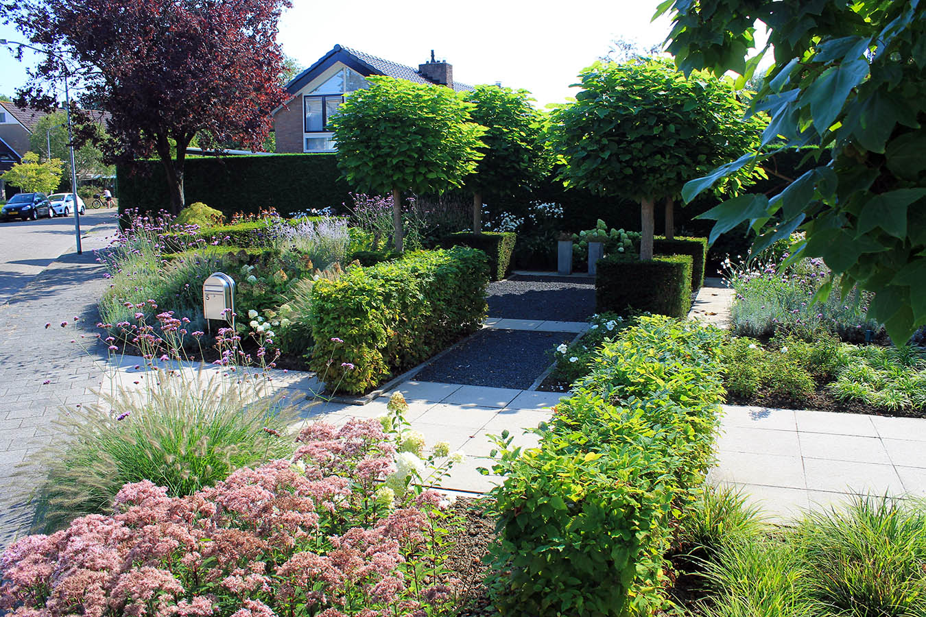 voortuin_geleijns hoevniers_tuinaanleg_zevenbergen_taxus haag_bolbomen_tuinonderhoud