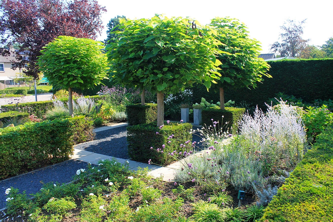 voortuin_geleijns hoevniers_tuinaanleg_zevenbergen_taxus haag_bolbomen_tuinonderhoud_bloeiende planten