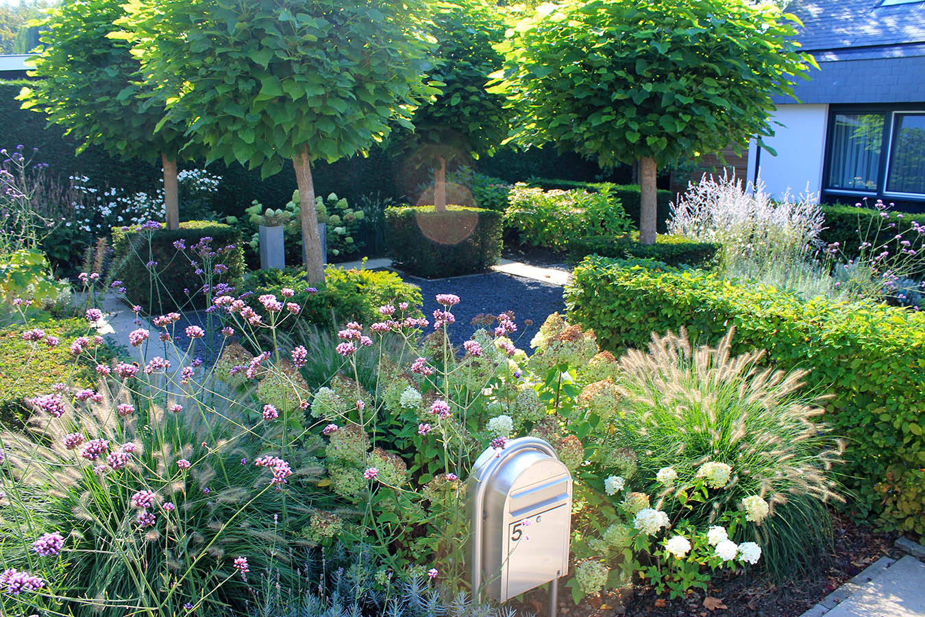 voortuin_geleijns hoevniers_tuinaanleg_zevenbergen_taxus haag_bolbomen_tuinonderhoud